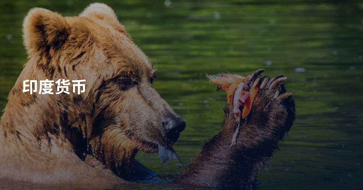 印度货币
