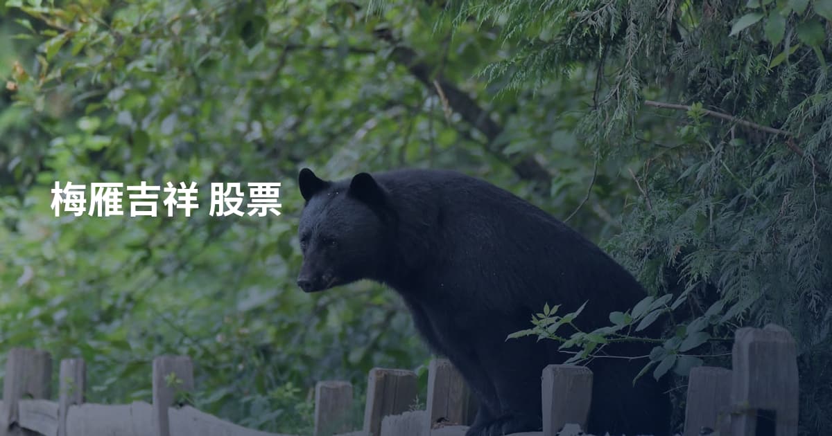 梅雁吉祥 股票
