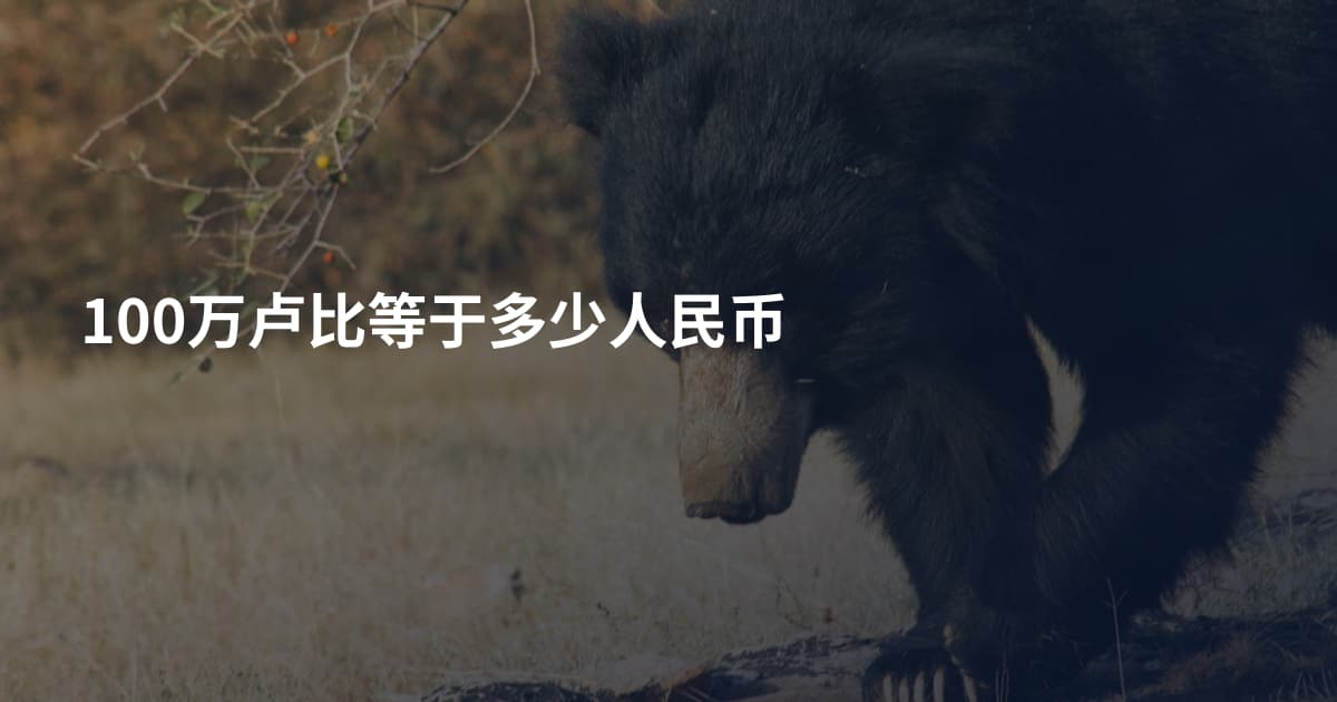 100万卢比等于多少人民币