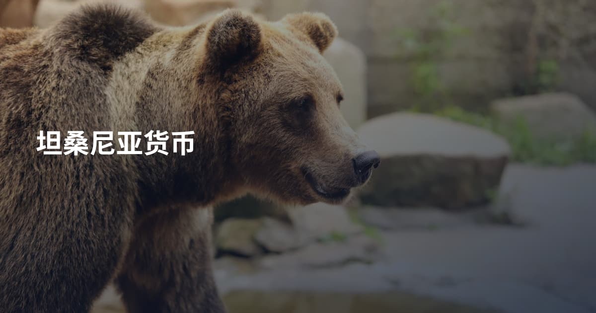 坦桑尼亚货币