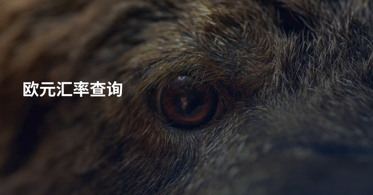 欧元汇率查询