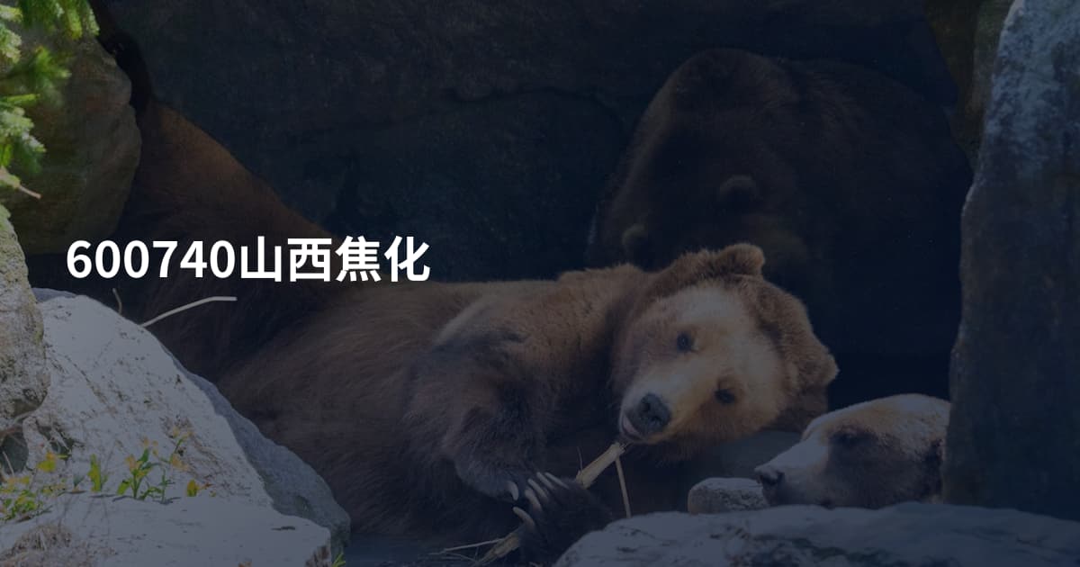 600740山西焦化