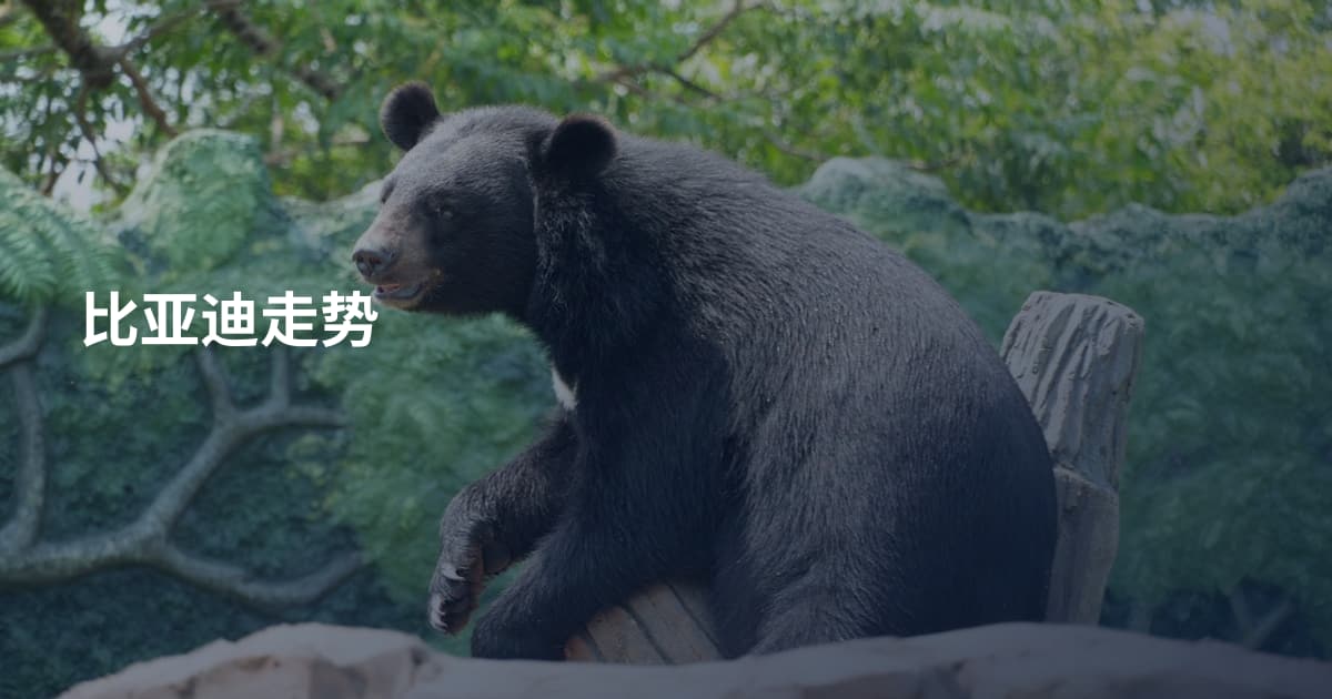 比亚迪走势