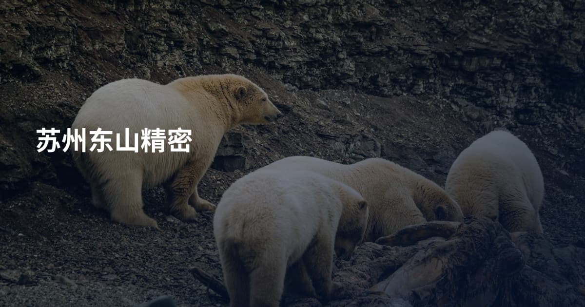 苏州东山精密
