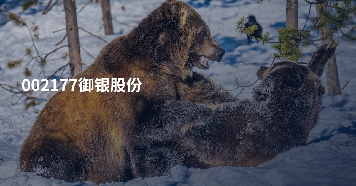 002177御银股份