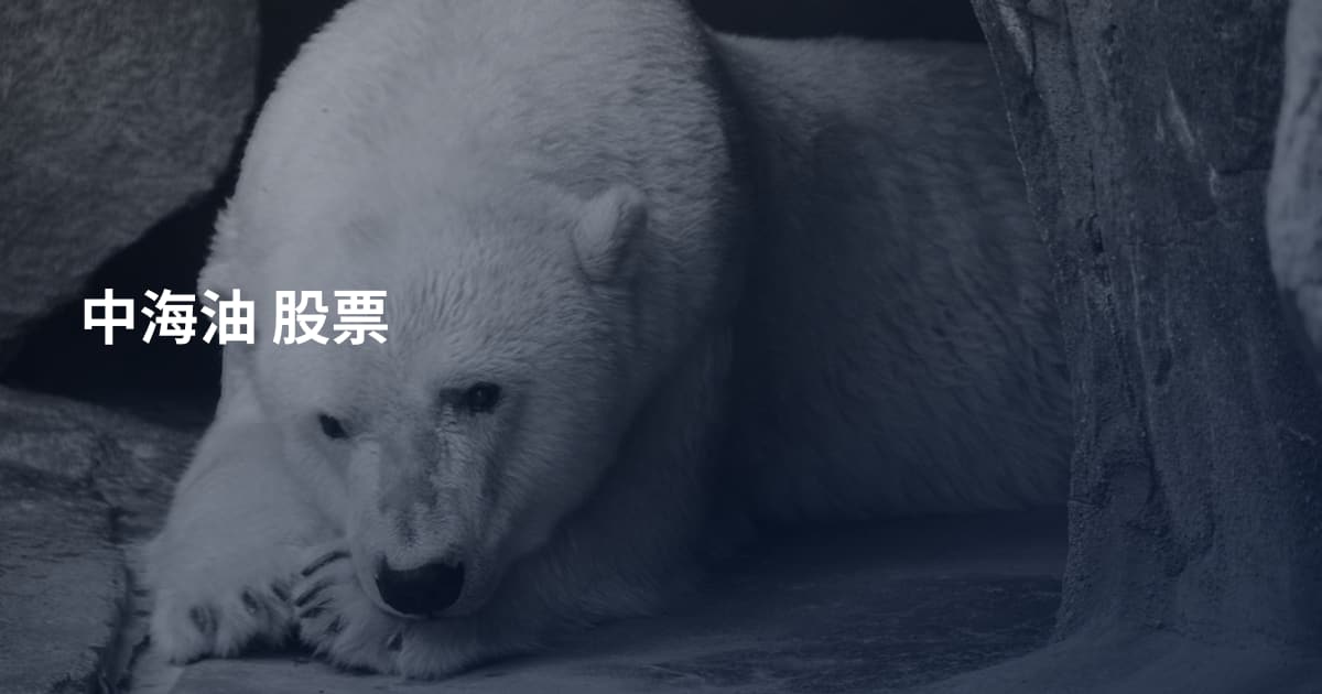 中海油 股票