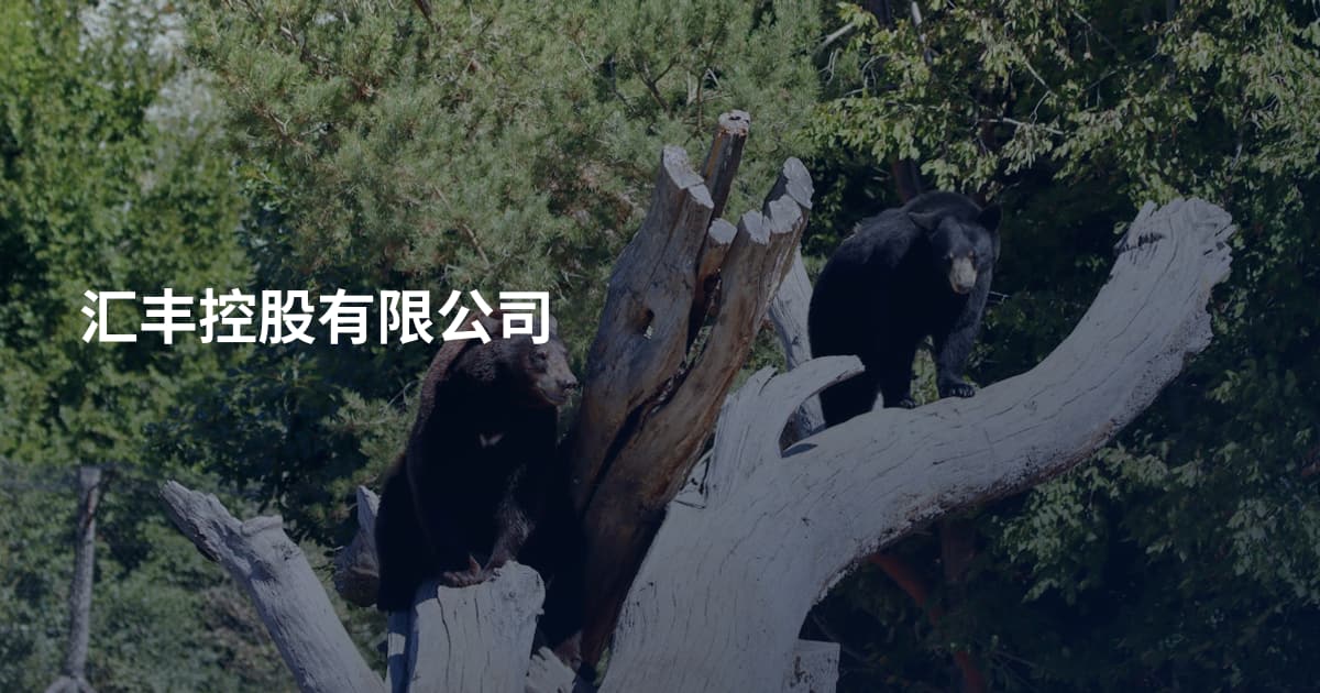 汇丰控股有限公司