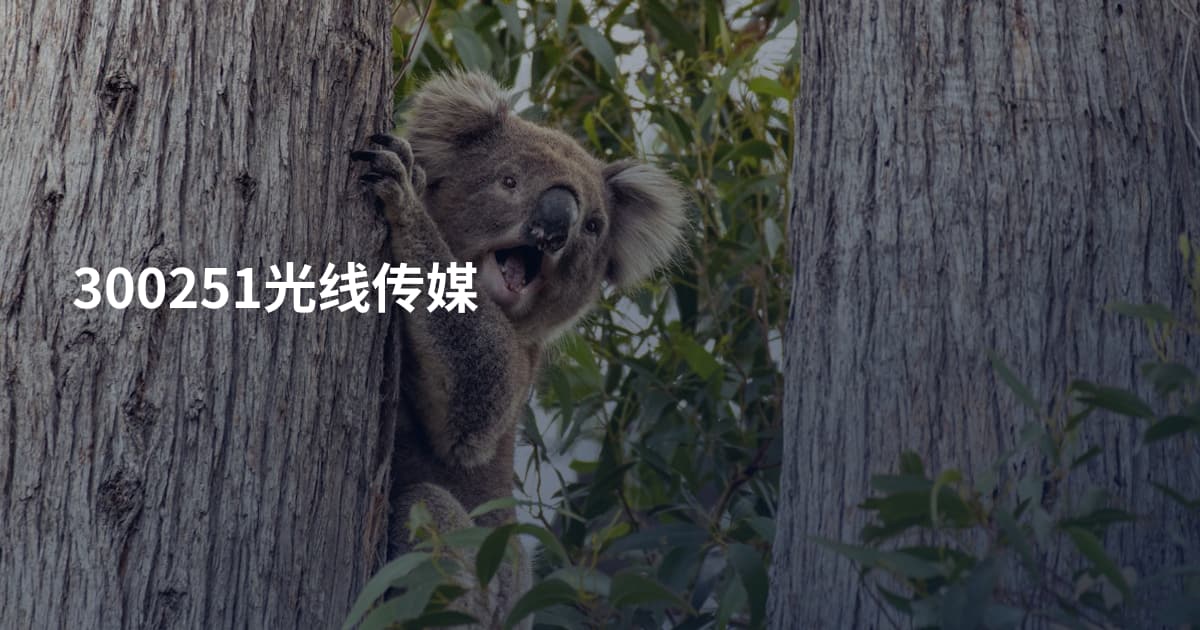 300251光线传媒