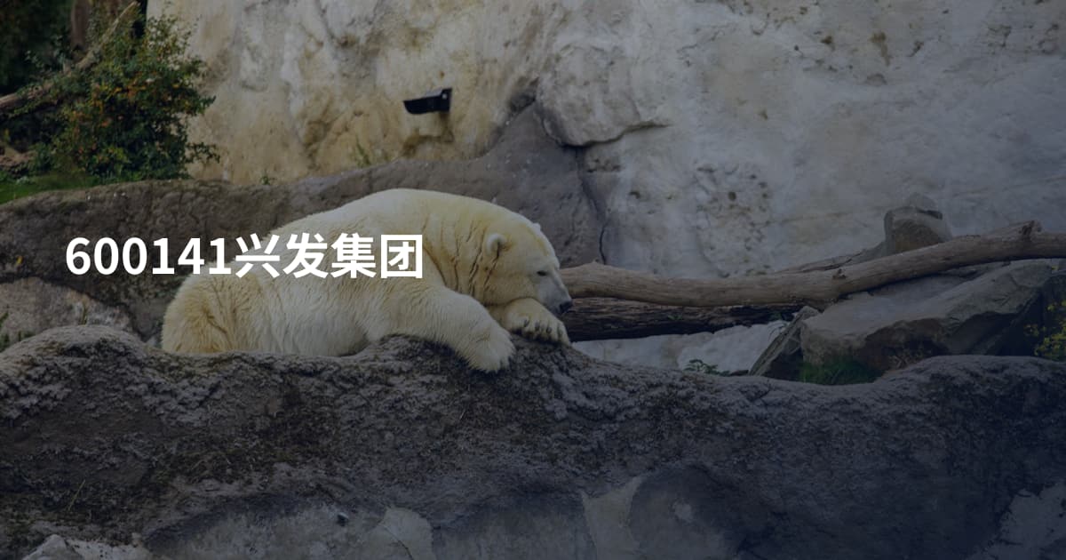 600141兴发集团