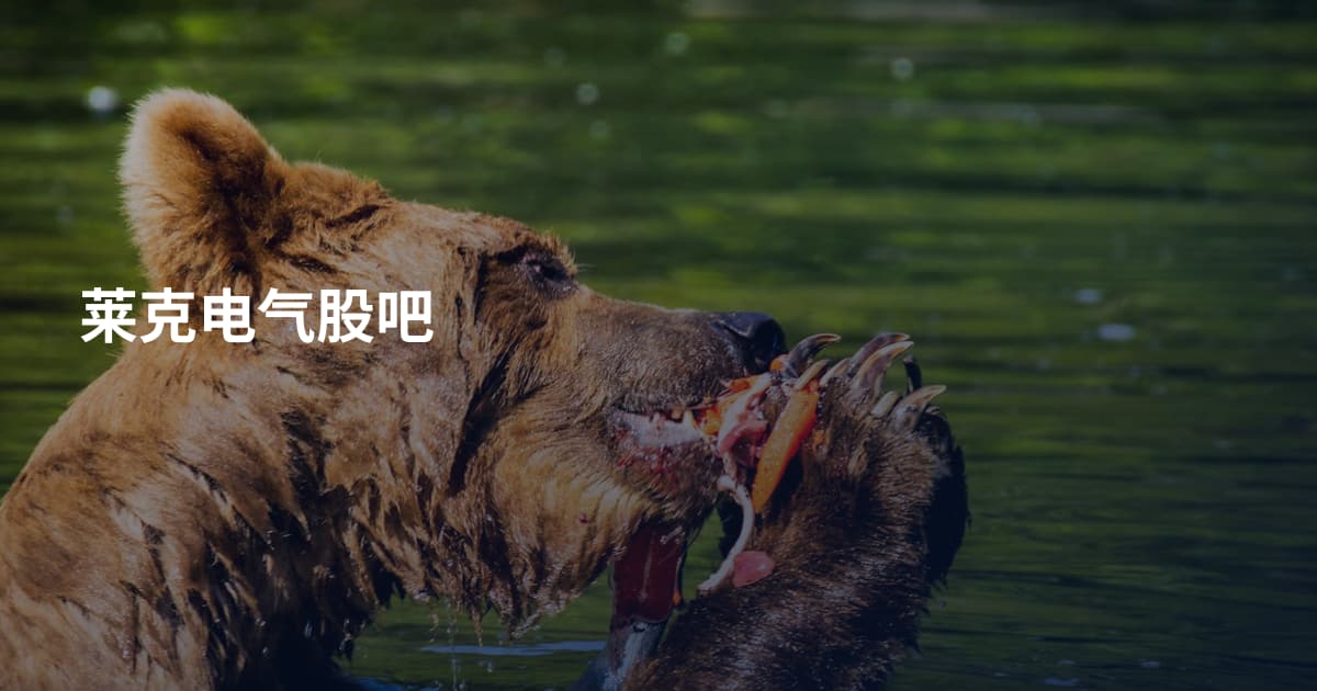 莱克电气股吧