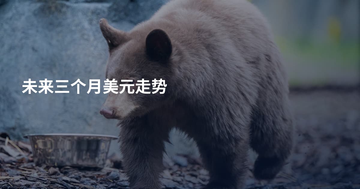 未来三个月美元走势