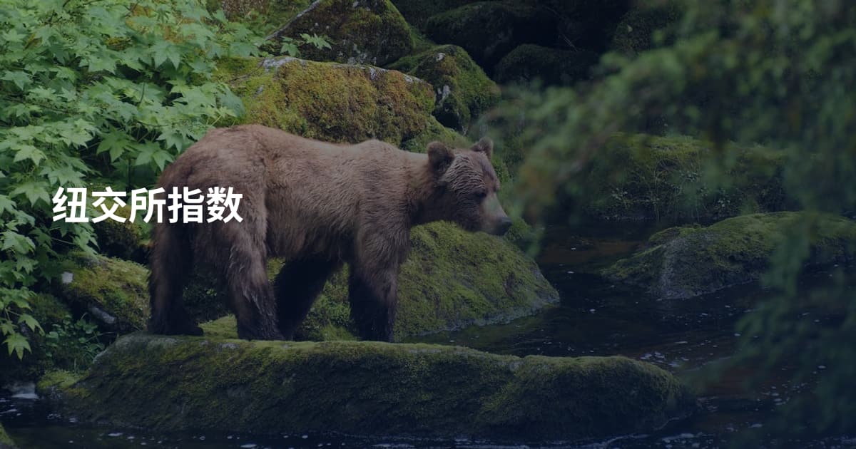 纽交所指数