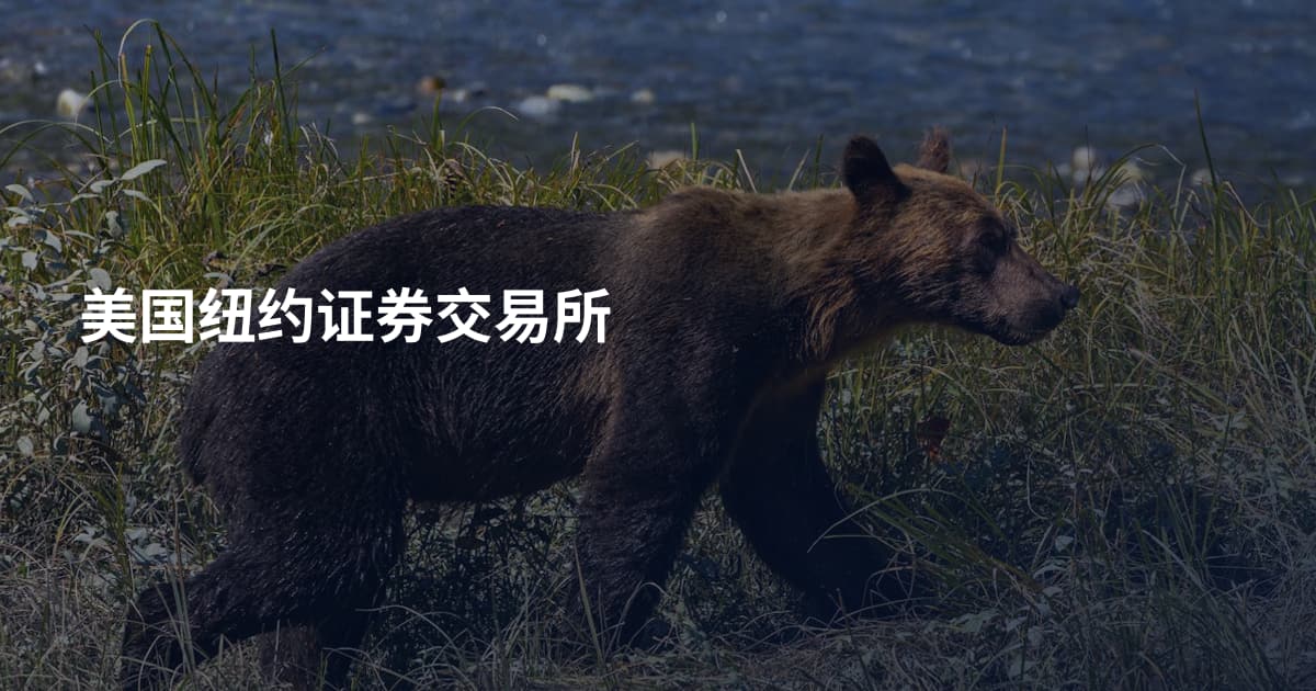 美国纽约证券交易所