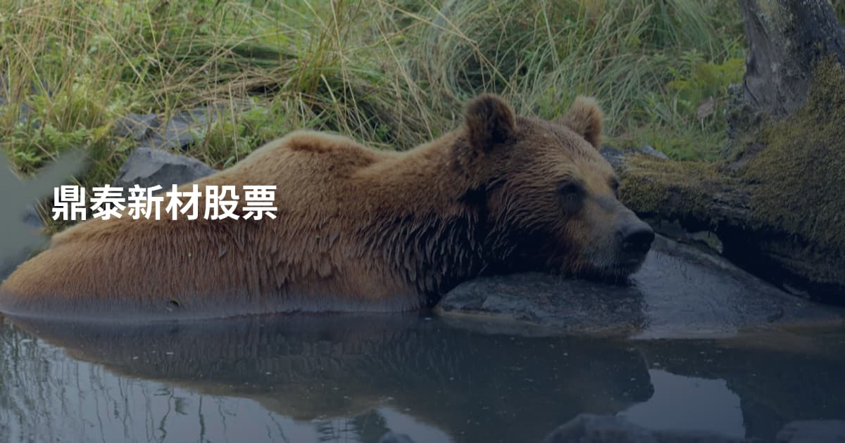 鼎泰新材股票
