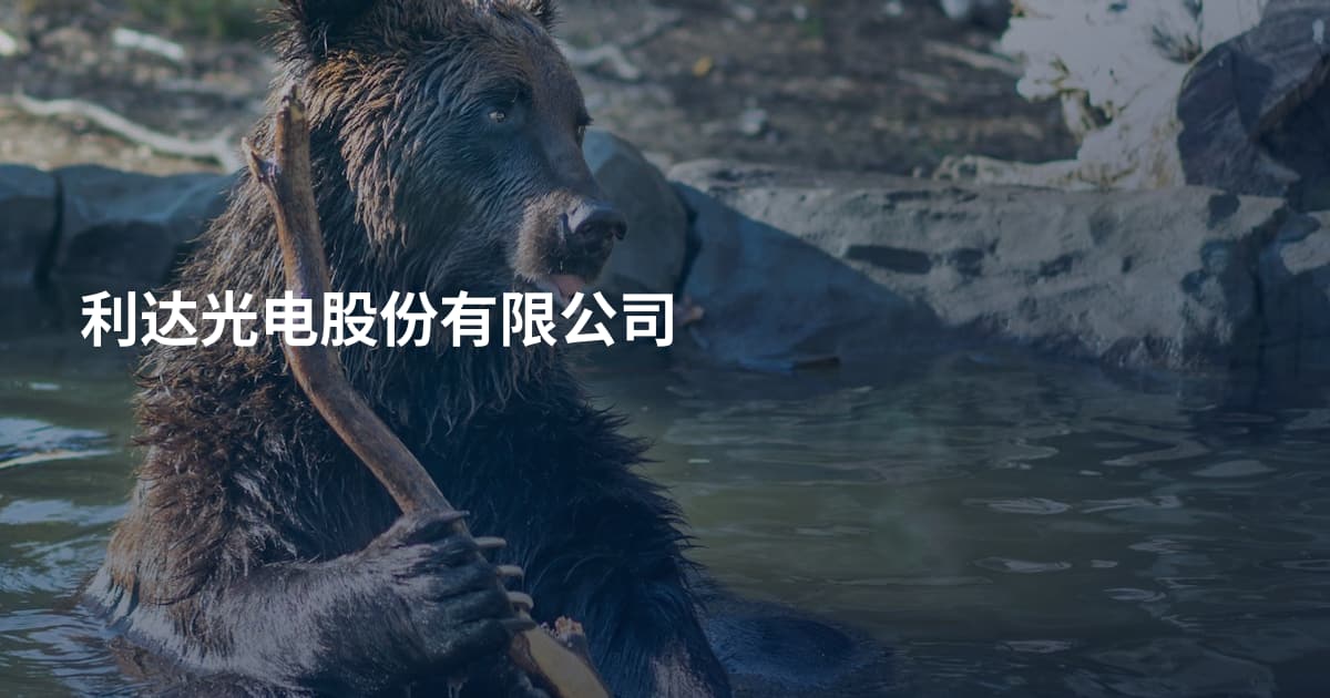 利达光电股份有限公司