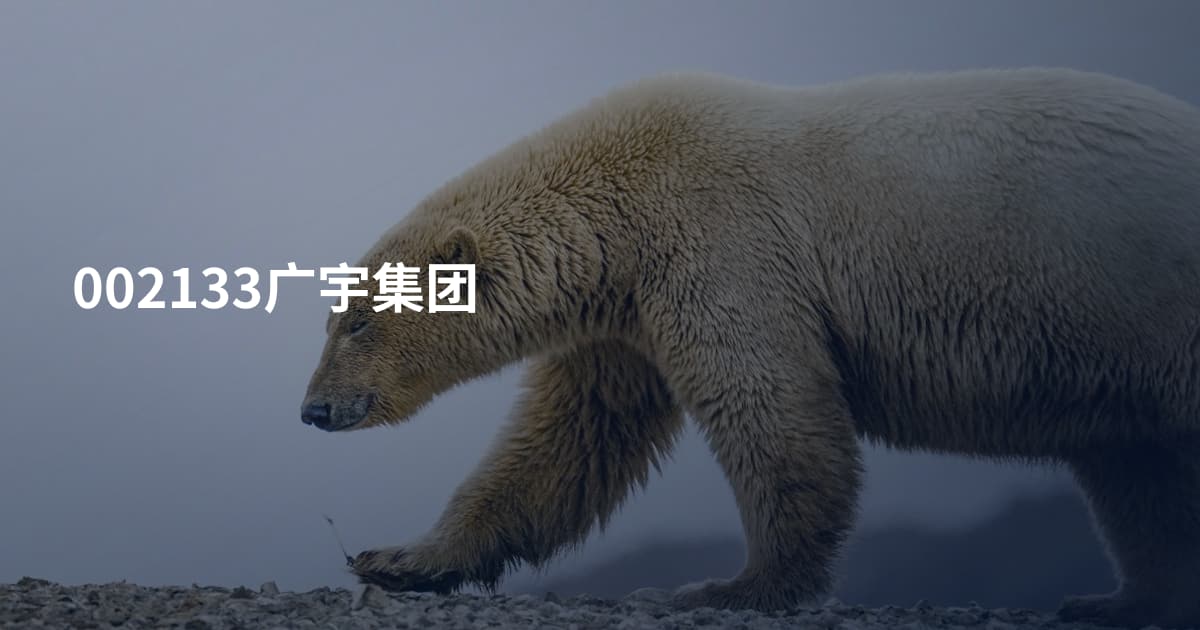 002133广宇集团