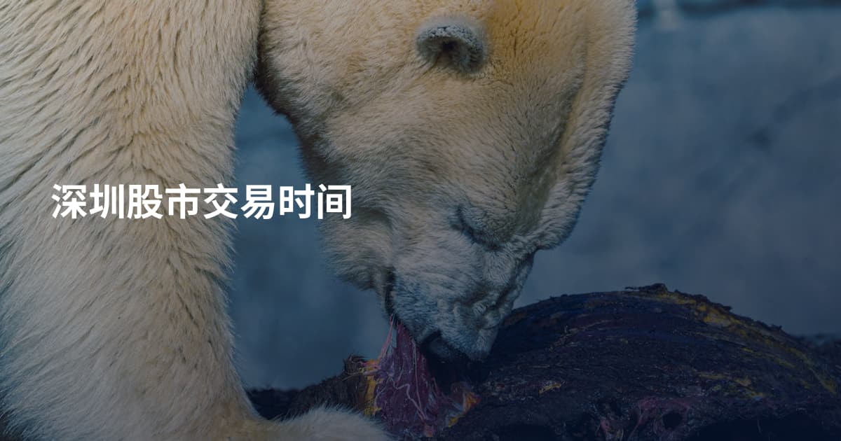 深圳股市交易时间