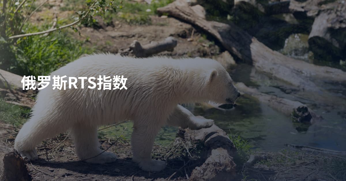 俄罗斯RTS指数