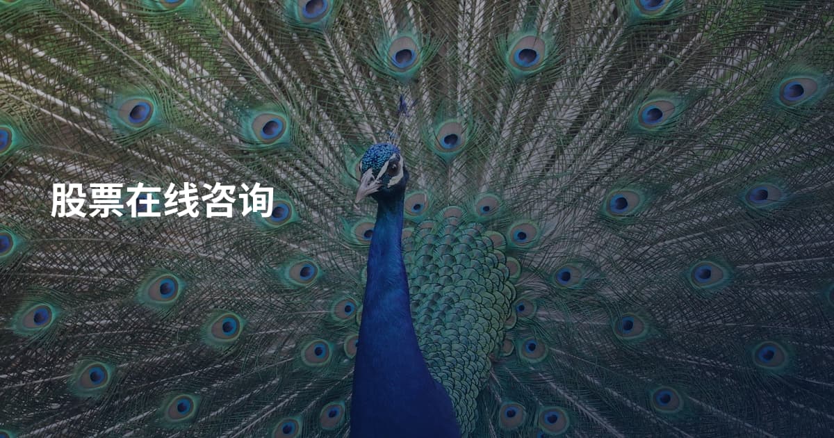 股票在线咨询