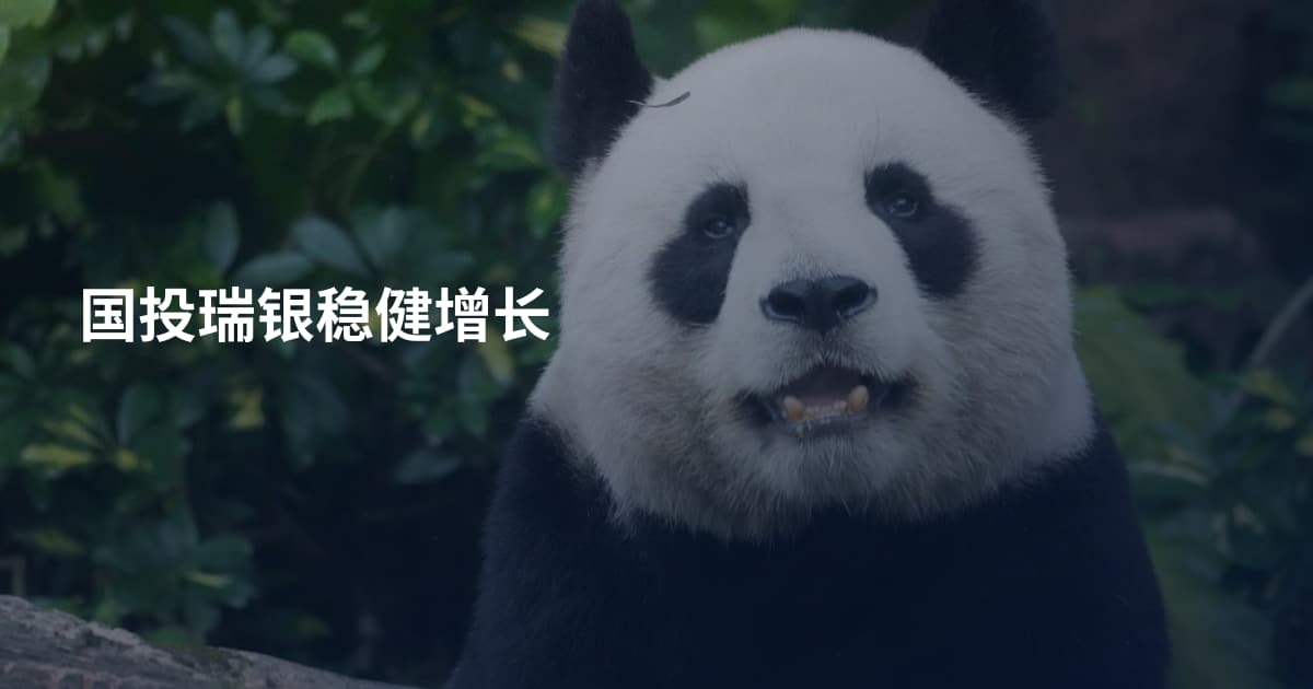 国投瑞银稳健增长
