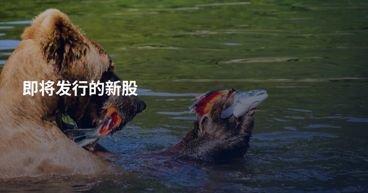 即将发行的新股
