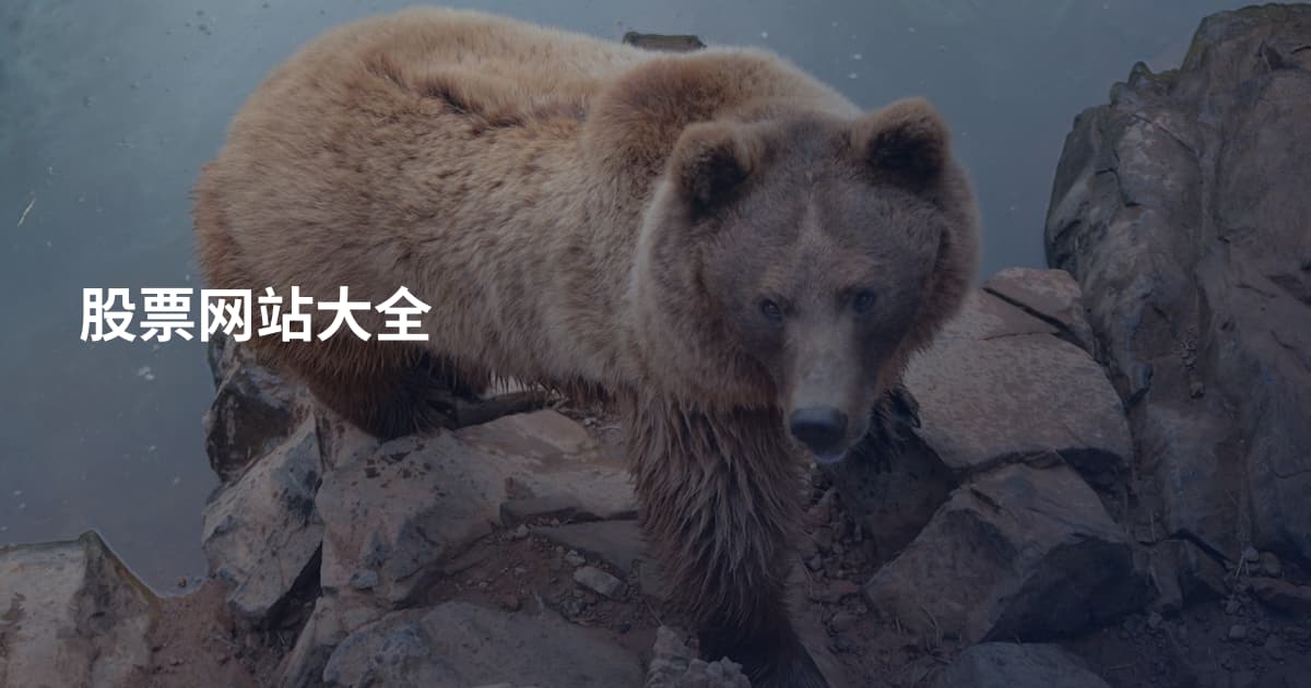 股票网站大全