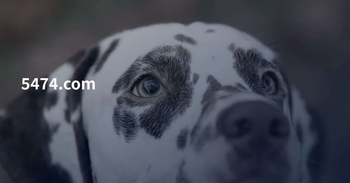 5474.com