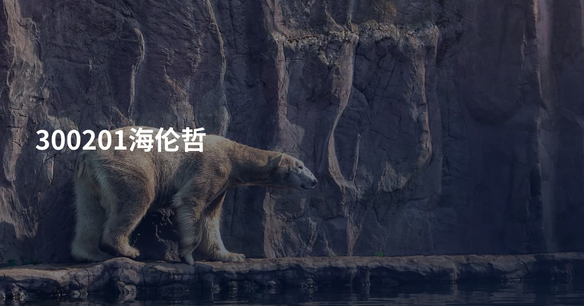 300201海伦哲