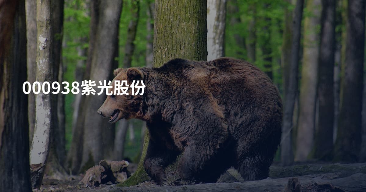 000938紫光股份