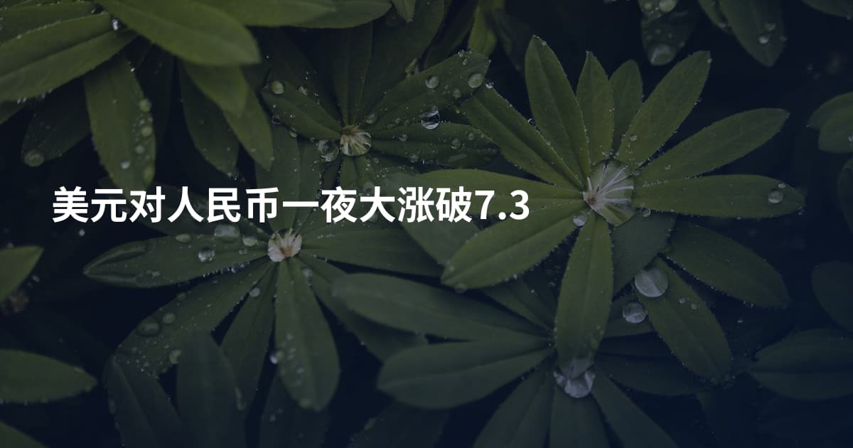美元对人民币一夜大涨破7.3