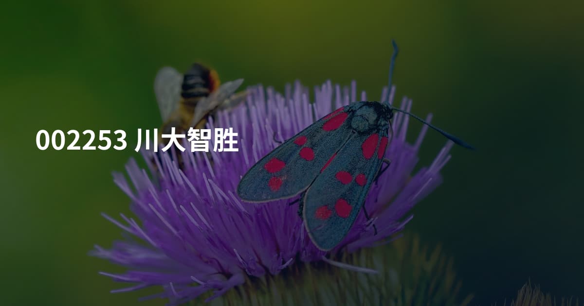 002253 川大智胜