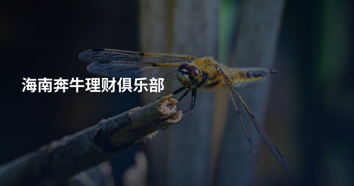海南奔牛理财俱乐部