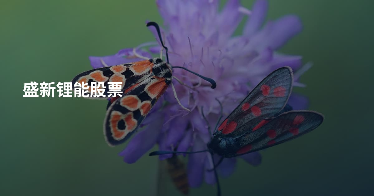 盛新锂能股票