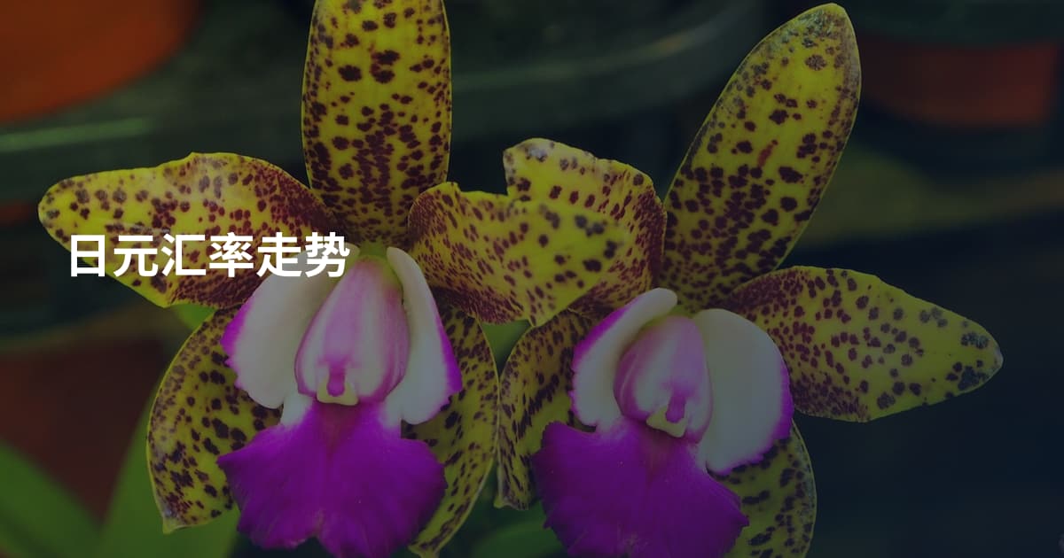日元汇率走势