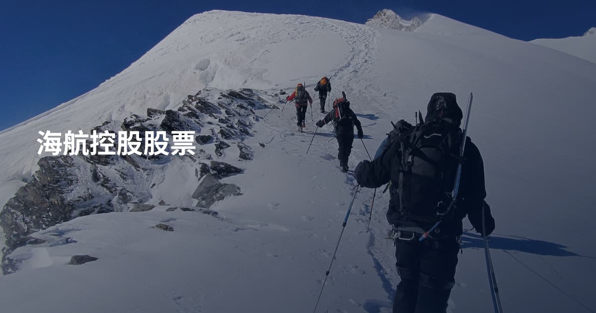 海航控股股票