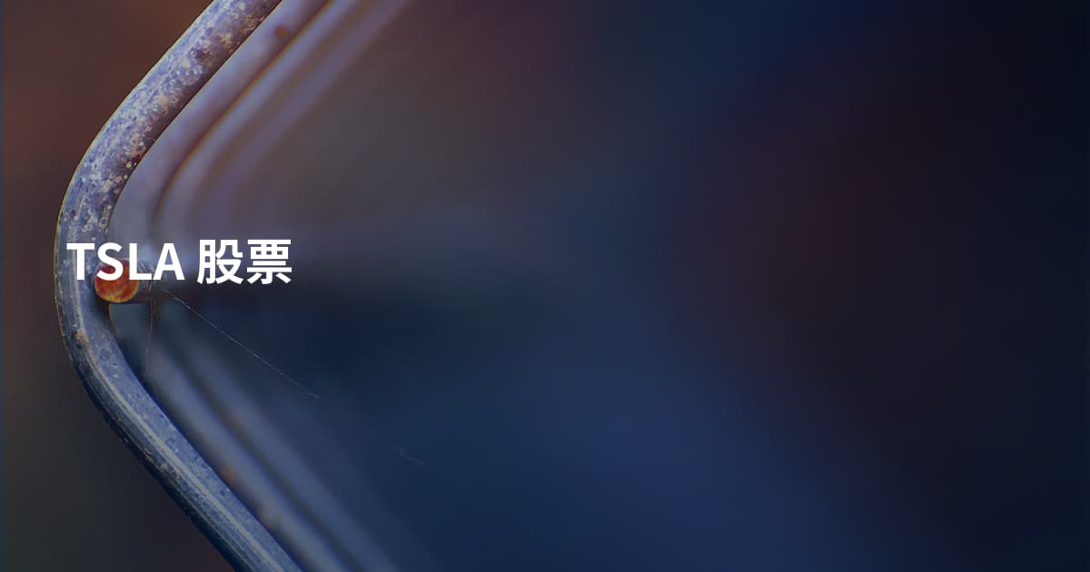 TSLA 股票