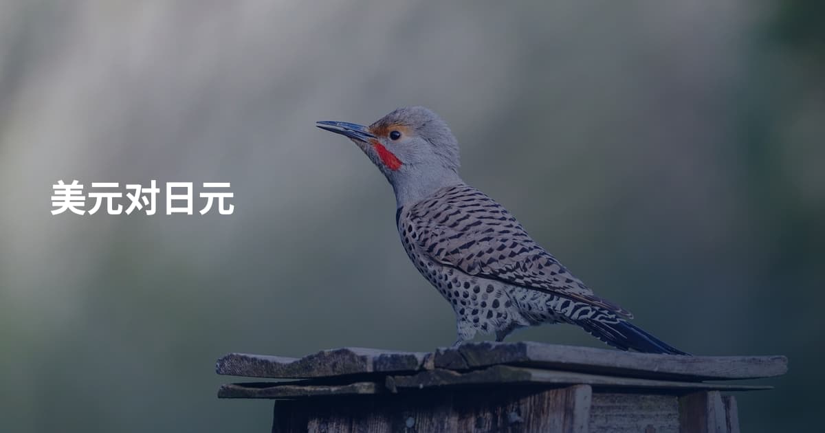 美元对日元