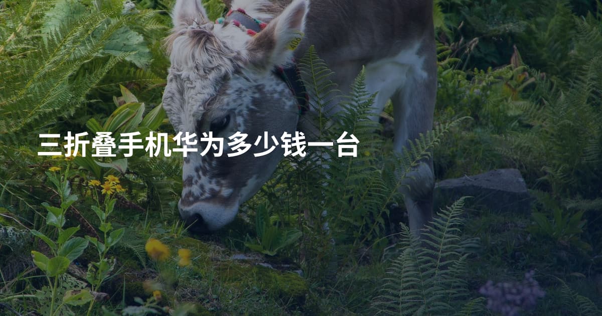 三折叠手机华为多少钱一台