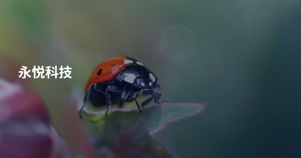 永悦科技
