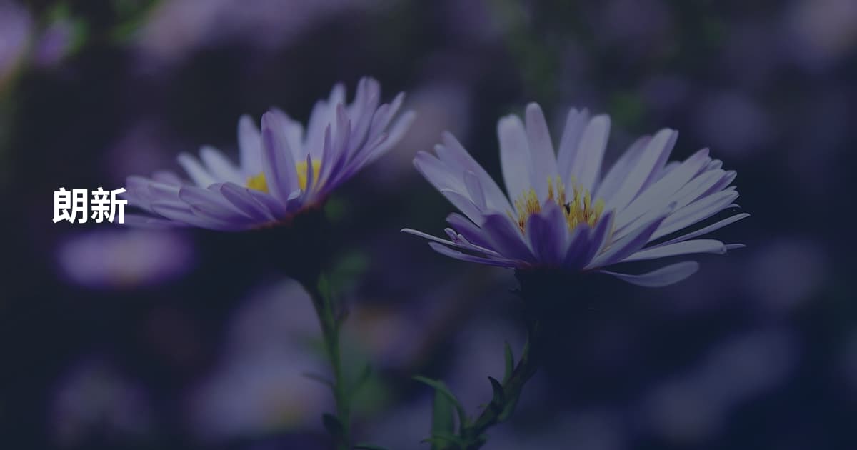 朗新