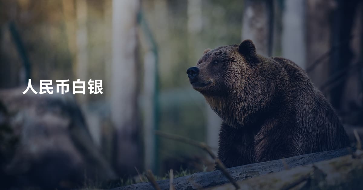 人民币白银