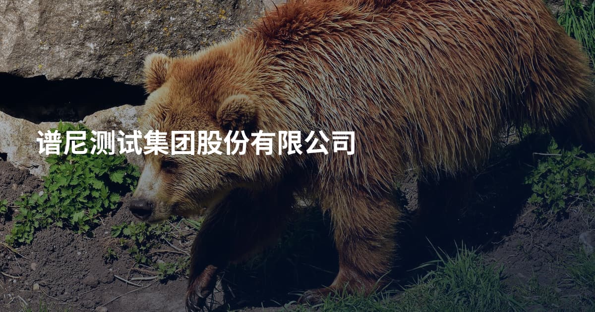 谱尼测试集团股份有限公司