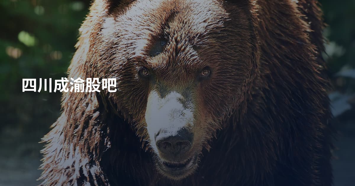 四川成渝股吧