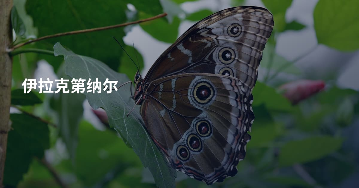 伊拉克第纳尔