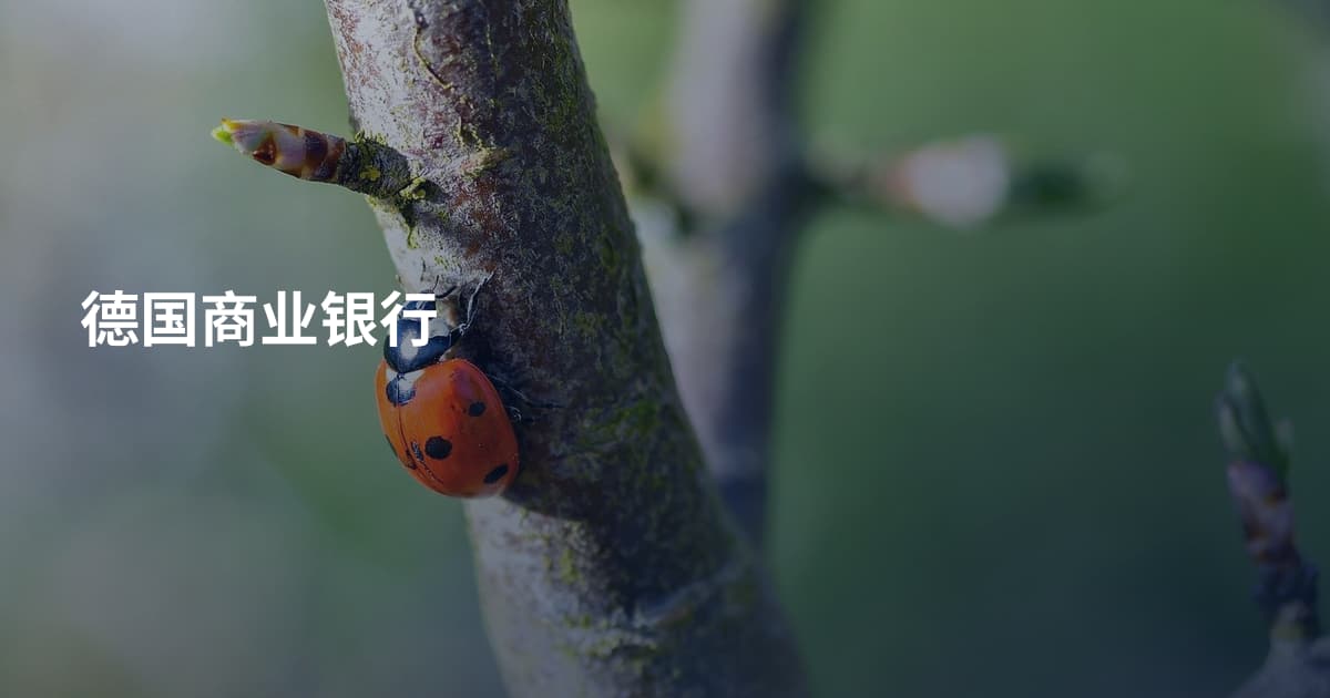 德国商业银行