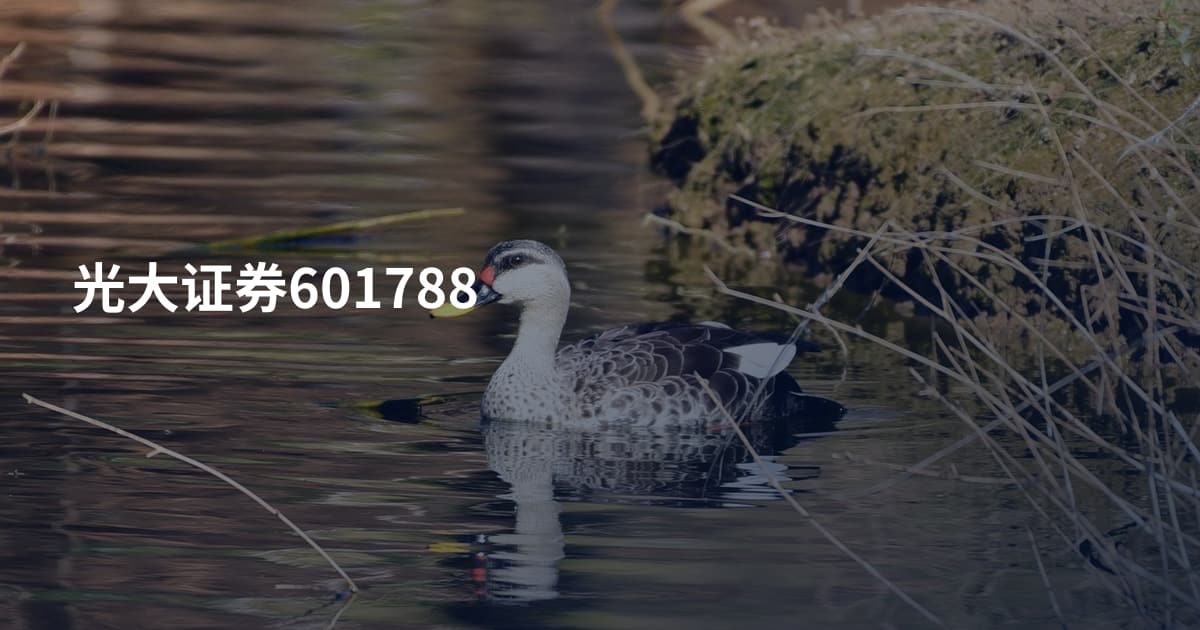 光大证券601788