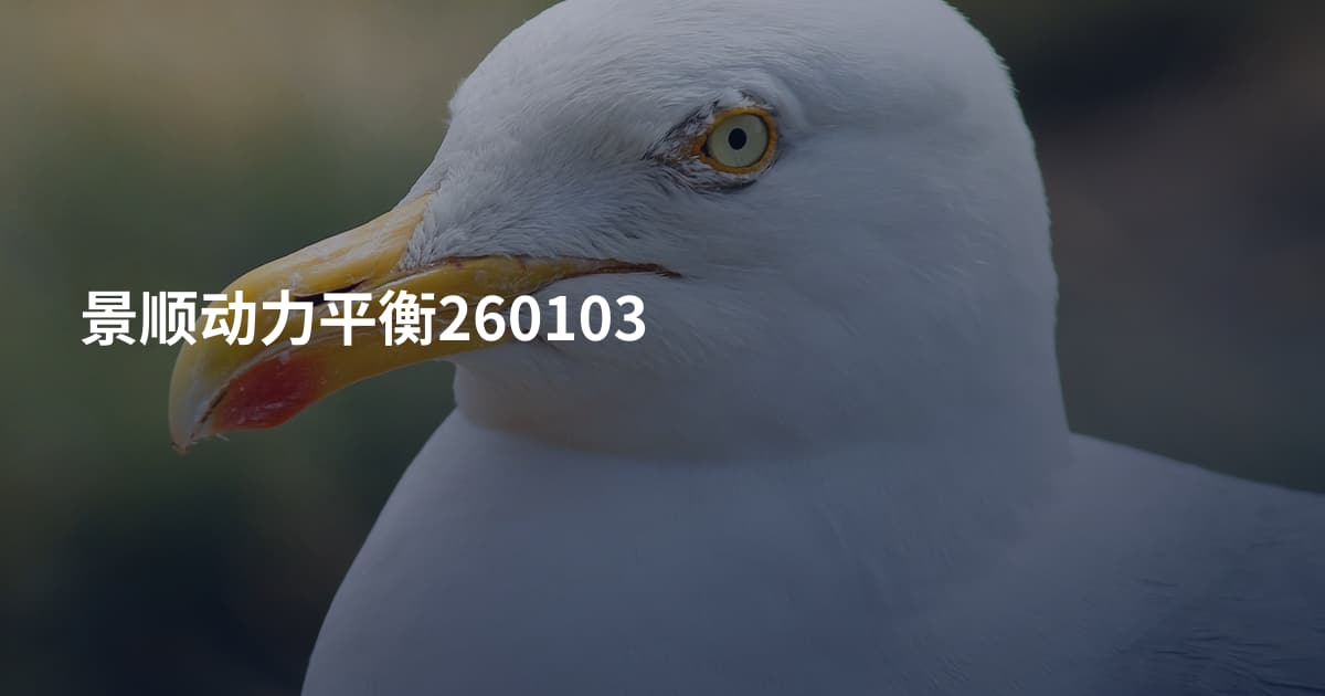 景顺动力平衡260103