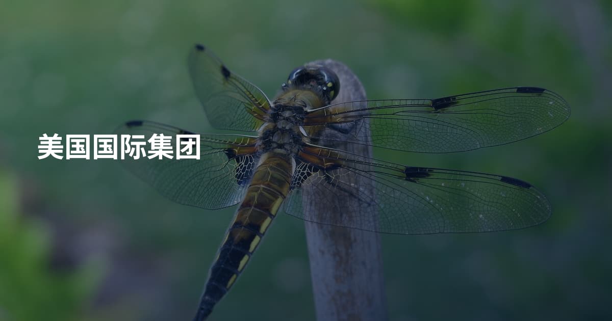 美国国际集团