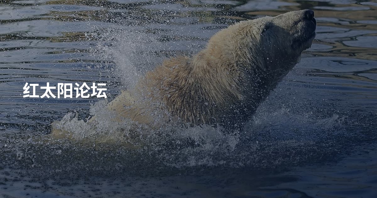红太阳论坛