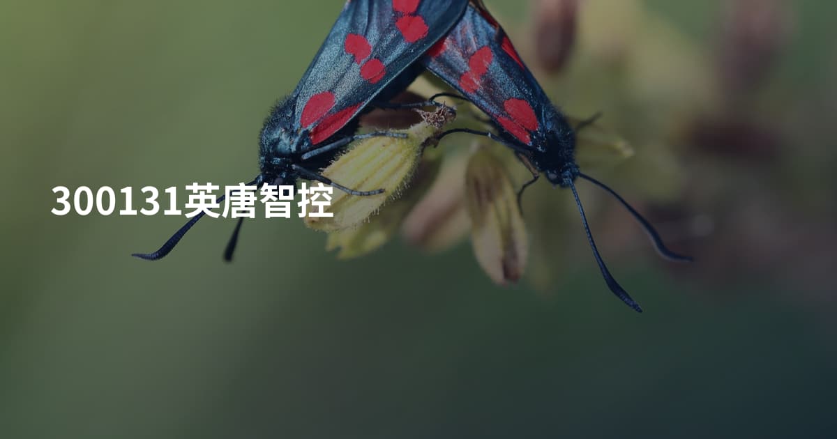 300131英唐智控
